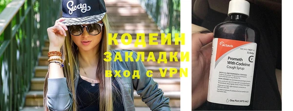 прущие грибы Беломорск