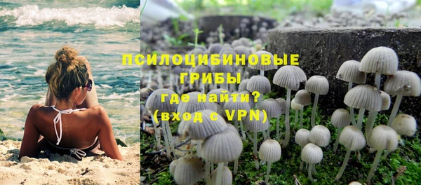 мет Баксан