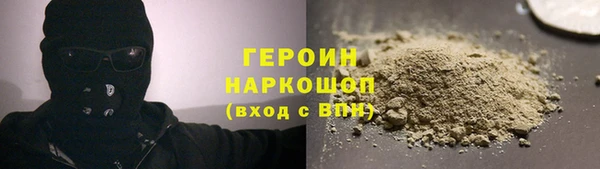 прущие грибы Гусев