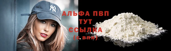 СК Белокуриха
