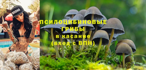 ПСИЛОЦИБИНОВЫЕ ГРИБЫ Балабаново