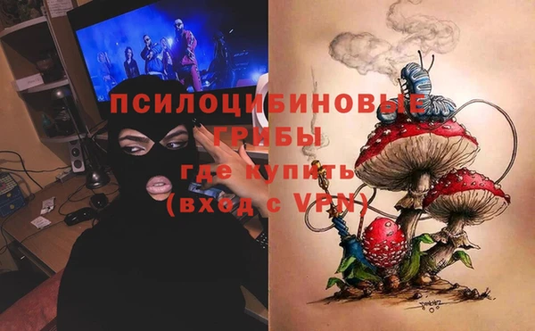 гидра Балахна