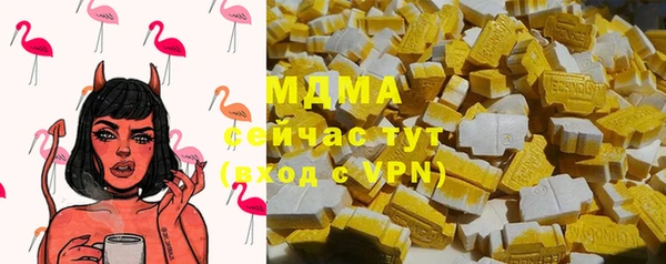прущие грибы Беломорск