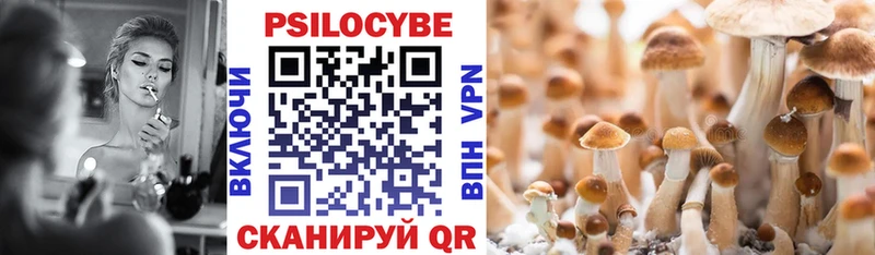 Псилоцибиновые грибы GOLDEN TEACHER Олёкминск